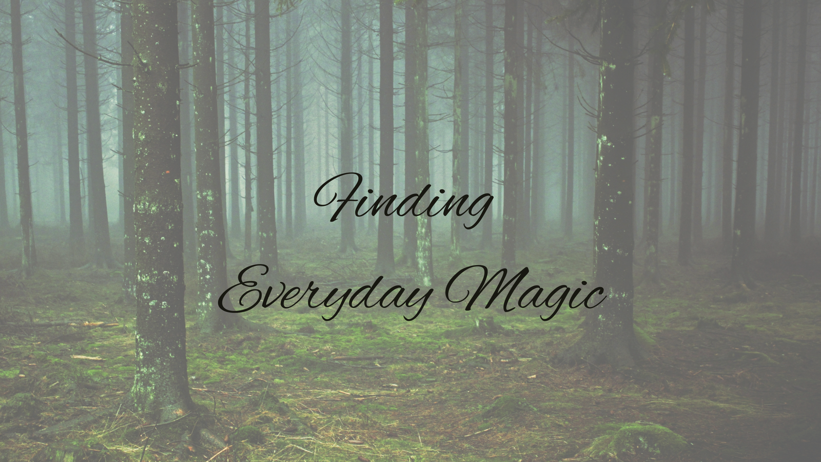 Finding Everyday Magic
