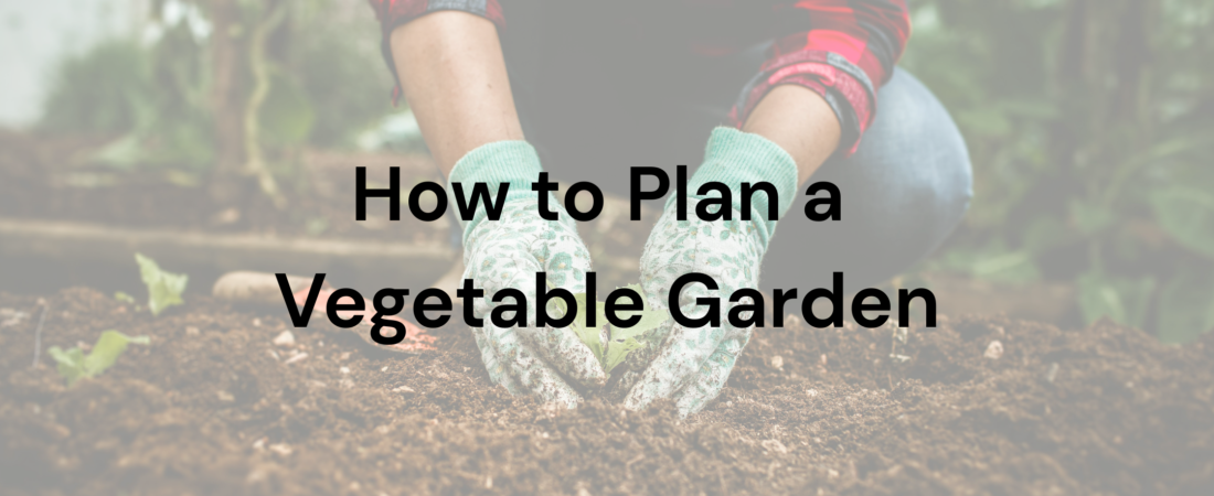 How to Plan a Vegetable Garden