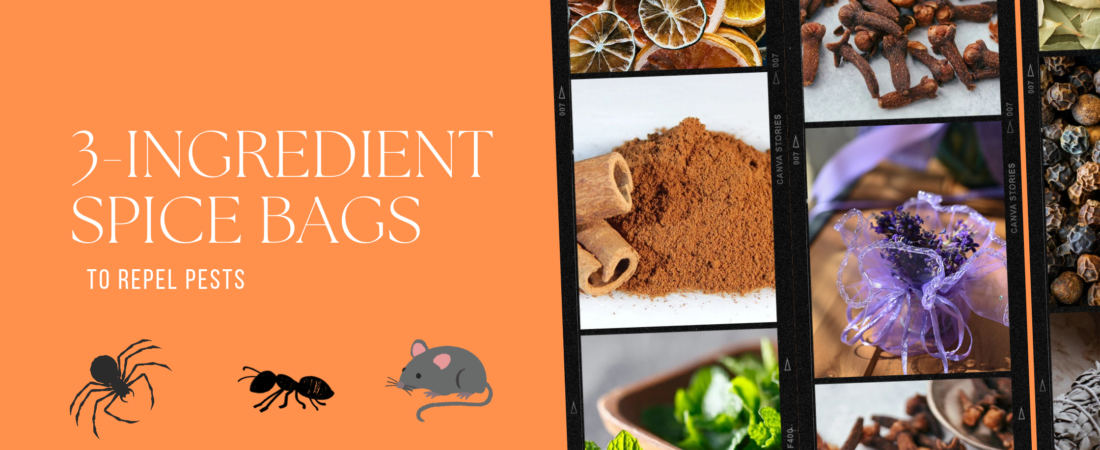 Quick 3-Ingredient Spice Bags to Repel Pests