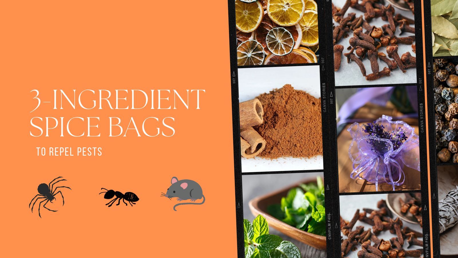Quick 3-Ingredient Spice Bags to Repel Pests